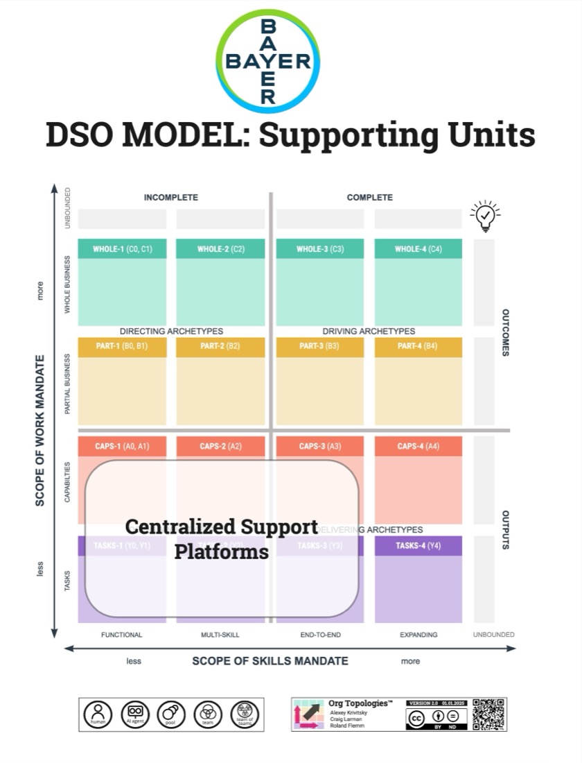 Org Topologies map of Bayer's DSO supporting units
